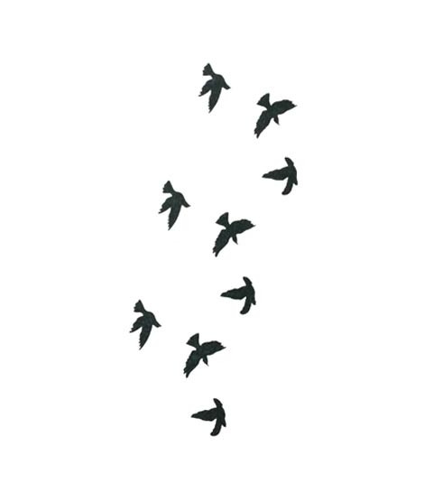 iShopping - Ferozi Traders Fly Birds Tattoo Sticker