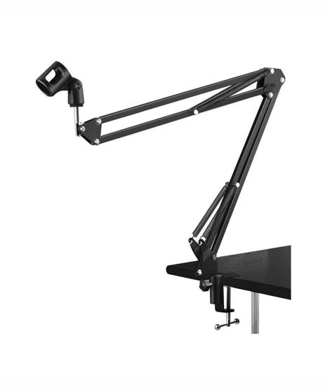 iShopping - Muzamil Store Bulfyss Professional Mic And Microphone Stand (Black)