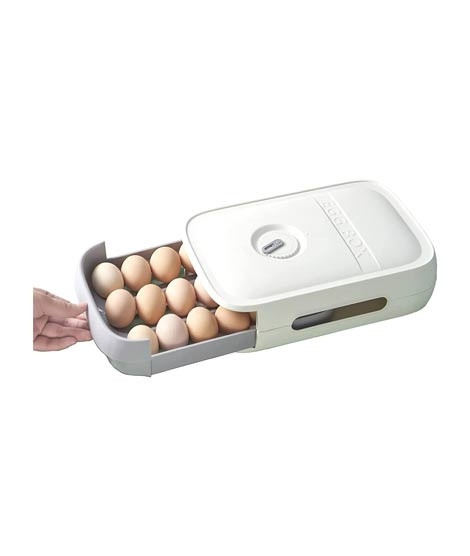 iShopping - muzamil store 21 Grid Egg Storage Drawer Organizer