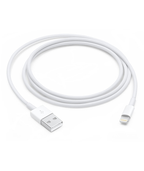 iShopping - Apple Charger with USB Data Cable White