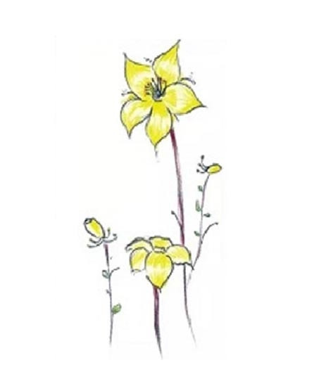 iShopping - G-Mart Yellow Blossom Flower Temporary Tattoo Sticker