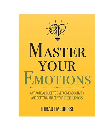 iShopping - Master Your Emotions Book