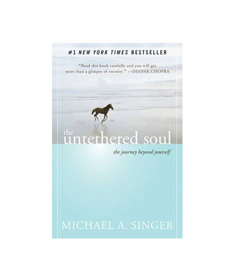 iShopping - The Untethered Soul Book