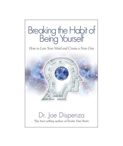 iShopping - Breaking The Habit Of Being Yourself Book