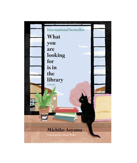 iShopping - What You Are Looking For Is in The Library Book