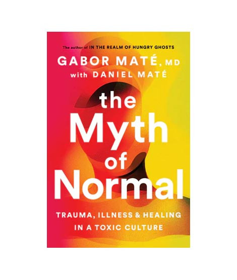 iShopping - The Myth of Normal Book