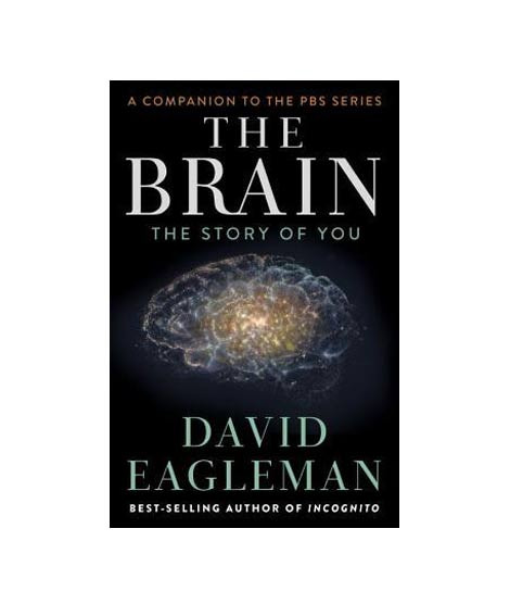 iShopping - The Brain The Story Of You Book