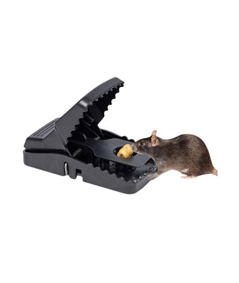 iShopping - Genshirts Mouse Catcher Rat Trap