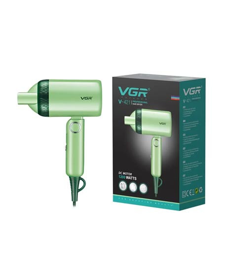 iShopping - VGR Professional Foldable Hair Dryer (V-421)