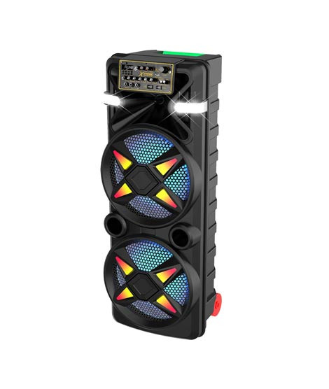 iShopping - Xtreme Festival 1212 Speaker with 12" x 2 Speaker