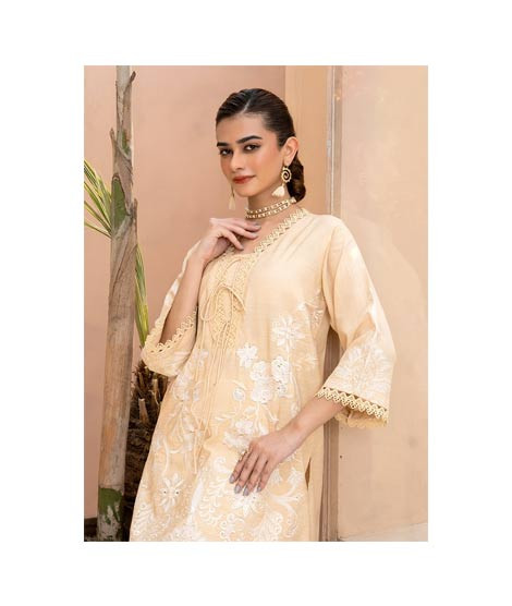 iShopping - Ahlam Detail Nude Beige Embroidery Raw Silk Kurta 1-piece