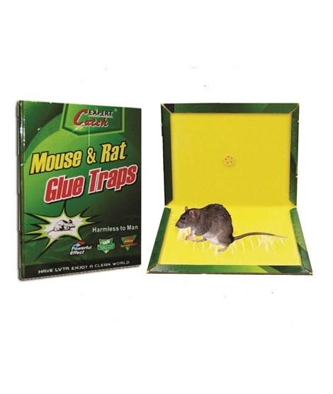 iShopping - Ferozi Traders Reusable Mouse Trap Glue Sticky Board - Pack Of 3