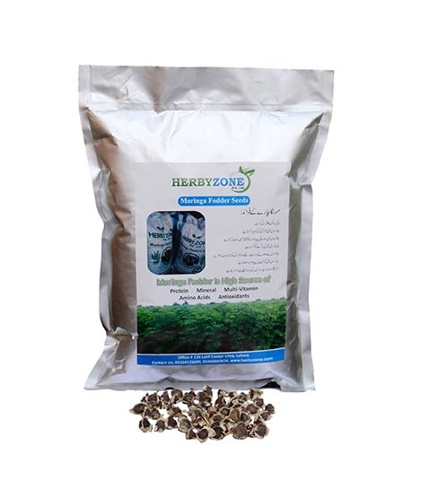 iShopping - Herbyzone Moringa Fodder Seeds