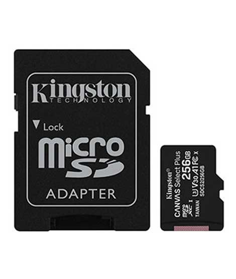 iShopping - Kingston Canvas Select Plus 256GB Micro SD Card (SDCS2/256GB)
