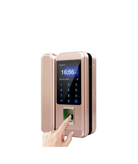 iShopping - Link Corporation Biometric Lock System