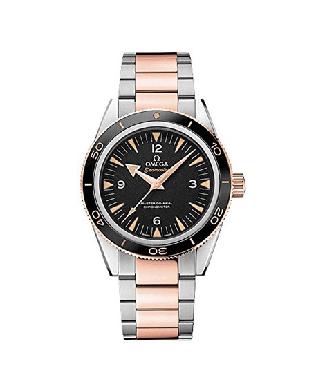 iShopping - Omega Seamaster Men's Watch Two-Tone (233.20.41.21.01.001)