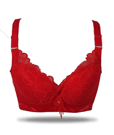 iShopping - Purple Bag Fancy Lightly Padded Wired less Bra For Women (OFW0023)