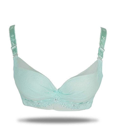 iShopping - Purple Bag Lace Net Soft Padded Under Wired Bra Feroozi (OFW0037)