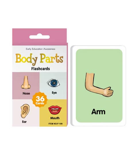 iShopping - Planet X Body Flash Educational & Interactive Card - (36Pcs) (PX-12186)