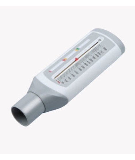 iShopping - Rossmax Peak Flow Meter Coded Indicators (PF120A)