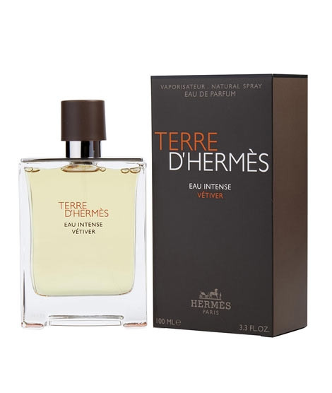 iShopping - Hermes Terre D'Hermes Eau Intense EDP for Men 100ML