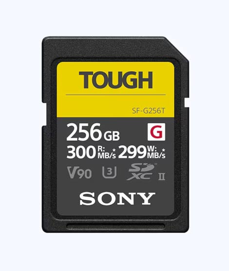 iShopping - Sony 256GB Type A TOUGH Memory Card (SF-G256T)