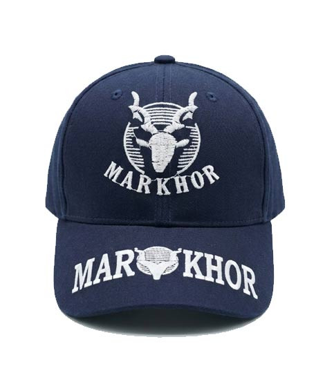 iShopping - Smart Shopping Hub Baseball P Cap (0909)
