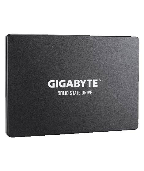 iShopping - Gigabyte 256GB Solid State Drive (GP-GSTFS31256GTND)