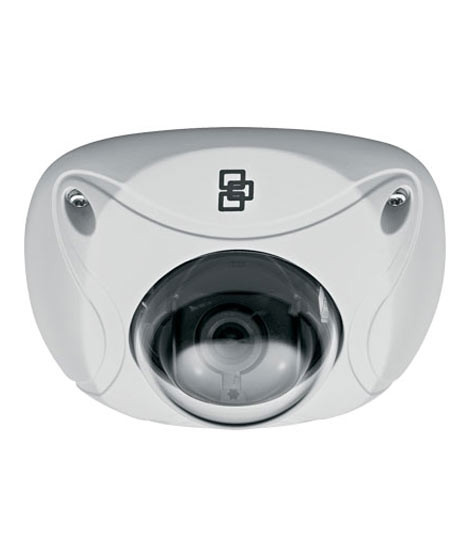 iShopping - TruVision Vandal IP Dome Camera (TVD-N210W-4-P)