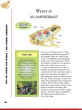 iShopping - Tell Me Everything Book