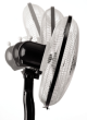 iShopping - Black & Decker 16" Pedestal Fan (FS1610)