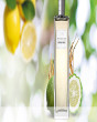 iShopping - Oriflame Sweden Men's Collection Citrus Tonic Eau De Toilette For Men 75ML (30058)