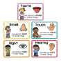 iShopping - Artisticvalley Bundle Five Senses Flashcards - 5pcs