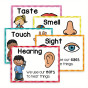 iShopping - Artisticvalley Bundle Five Senses Flashcards - 5pcs