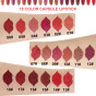 iShopping - 18 Pcs Capsule Lipstick Set