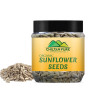 iShopping - Chiltan Pure Sunflower Seeds