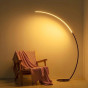 iShopping - Zeki Decor Elegant 67'' LED Floor Lamp with Flexible Arc Design