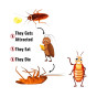 iShopping - Iceland Advion Cockroach Gel Bait - (30g Syringe)
