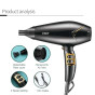 iShopping - VGR Professional Salon Series Hair Dryer (V-423)