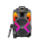 iShopping - Login Ronaq 12 inch Wireless Speaker Black (L-265)