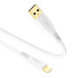 iShopping - Login IOS Cable (L-902)