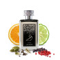 iShopping - Ardalteeb Elixr Silver Perfume 100ml For Him