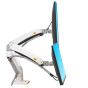 iShopping - NB North Bayou Heavy Duty Dual LED Gas Spring Arm Desktop Mount (NB-F195A)