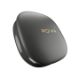 iShopping - Ronin Pebble Earbuds (R-7130)