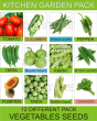 iShopping - DIY Store Vegetables Gardening Seeds Pack of 12
