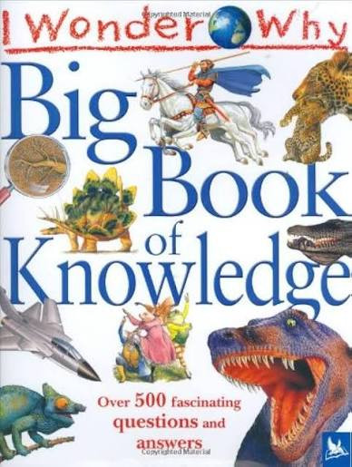 iShopping - I Wonder Why Big Of Knowledge Book