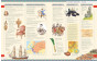 iShopping - Timelines of World History Book: A Gorgeously Illustrated Guide