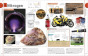iShopping - The Periodic Table Book: A Visual Encyclopedia of the Elements