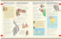 iShopping - Timelines of World History Book: A Gorgeously Illustrated Guide