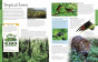 iShopping - Geography A Children’s Encyclopedia Book